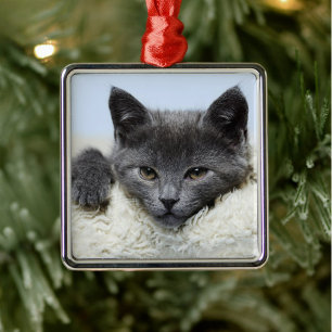 Sweet Gray Cat Face Ornament