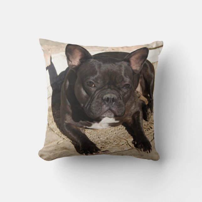 Sweet Grouchy French Bulldog Cushion (Front)