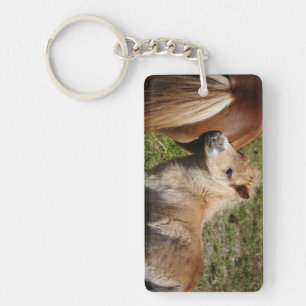 Sweet Haflinger Foal Key Ring