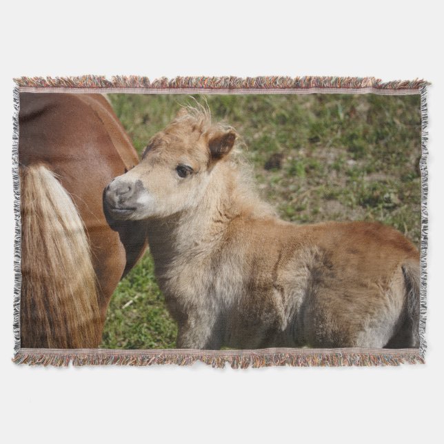 Sweet Haflinger Foal Throw Blanket (Front)