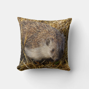Sweet Hedgehog In Stubble Field Cushion