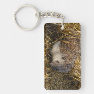 Sweet Hedgehog In Stubble Field Key Ring
