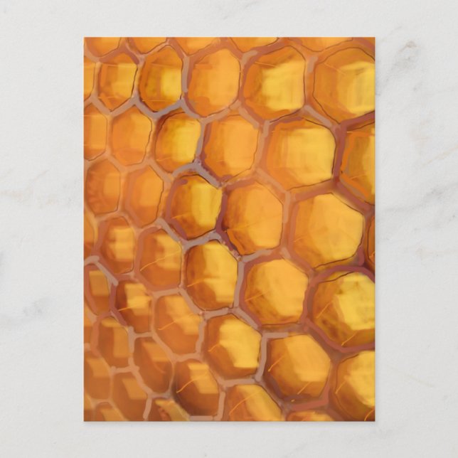 Sweet Honeycomb drawing orange yellow brown Postcard (Front)
