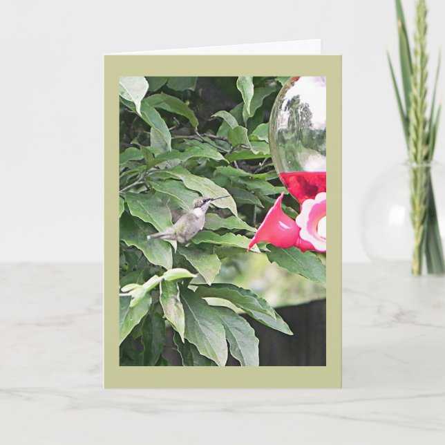 Sweet Humming Bird Birthday Wish Card (Front)