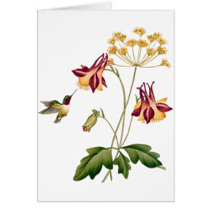 Sweet Hummingbird Vintage Botanical Garden