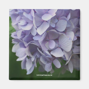 Sweet Hydrangea Flower Photo Magnet - Customised