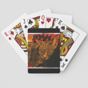 Sweet Indigo Snuggles Playing Cards