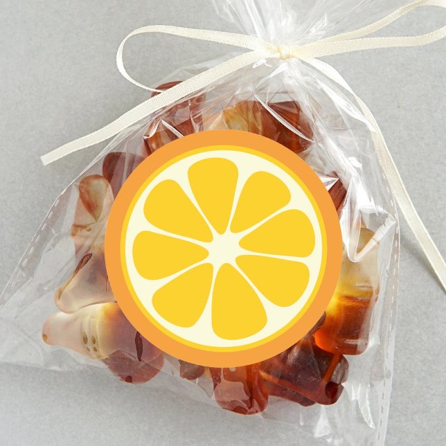 Sweet Juicy Orange Tropical Citrus Fruit Slice Classic Round Sticker (Creator Uploaded)