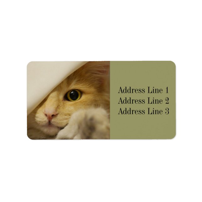 Sweet Kitten / Cat Photo Address Label (Front)