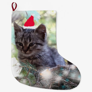 Sweet Kitten Christmas Custom Christmas Stocking