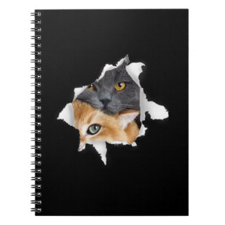 Sweet Kitten Couple | Funny Cat Lover Gift Notebook