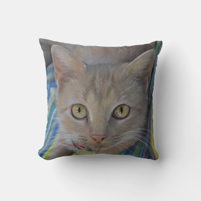 Sweet Kitten Drawing Pillow (Front)