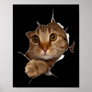 Sweet Kitten Torn Cloth - Funny Cat Lover Cat Owne Poster