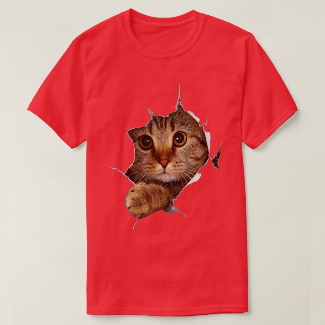 Sweet Kitten Torn Cloth Funny Cat Lover Cat Owner  T-Shirt (Design Front)