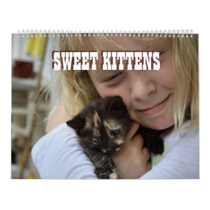 Sweet Kittens 2024 Katzen Kalender Calendar