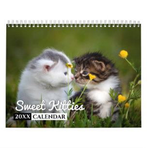 Sweet Kitties Photo Wall Calendar