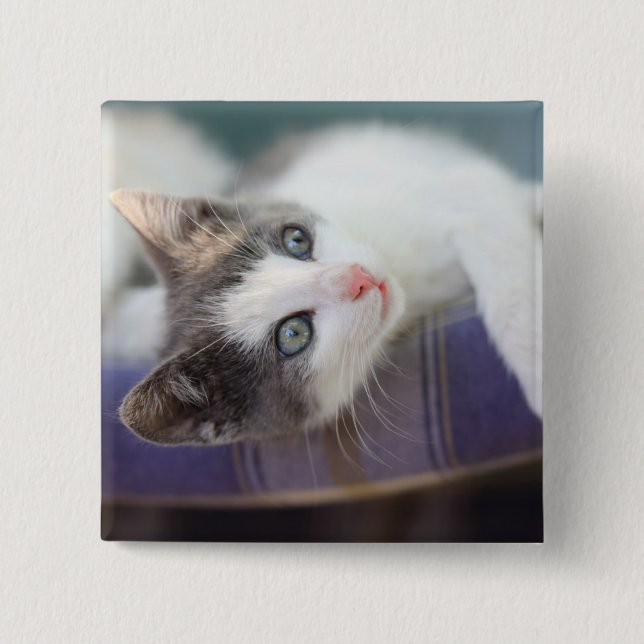 Sweet Kitty In Plaid Bed 15 Cm Square Badge (Front)