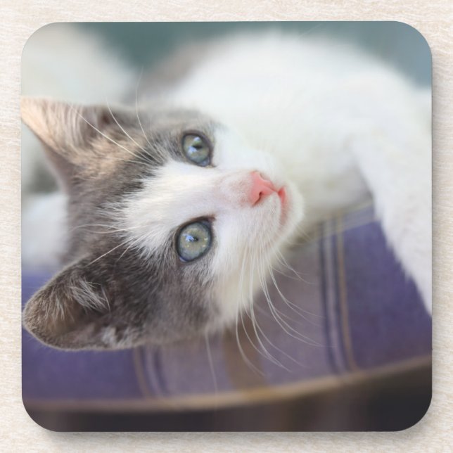 Sweet Kitty In Plaid Bed Coaster (Front)