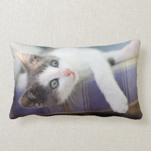 Sweet Kitty In Plaid Bed Lumbar Cushion