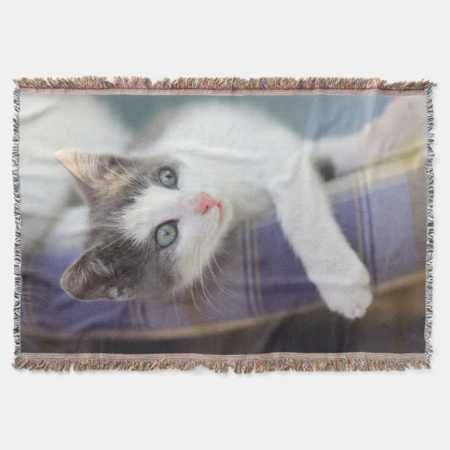 Sweet Kitty In Plaid Bed Throw Blanket (Front)