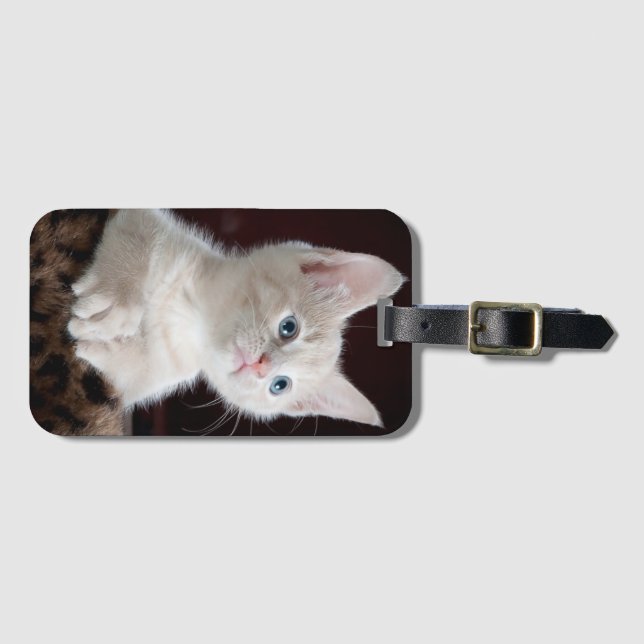 Sweet kitty luggage tag (Front Horizontal)