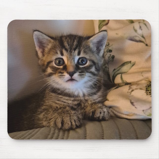 Sweet kitty mouse pad (Front)