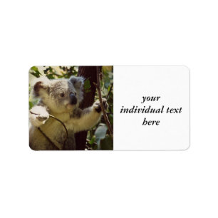 sweet Koala baby Label