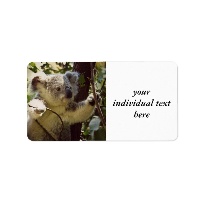 sweet Koala baby Label | Zazzle.com.au