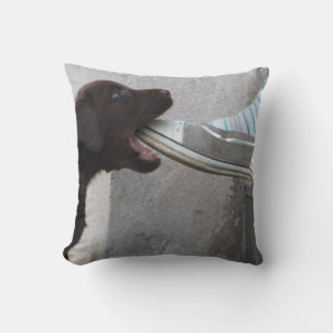 Sweet Labrador Puppy Gnawing On A Shoe Cushion