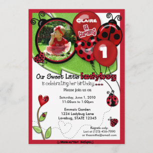 Sweet Ladybug Birthday Invitation ADORABLE (photo)