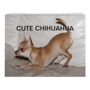 Sweet Little Chihuahua 2022 Calendar