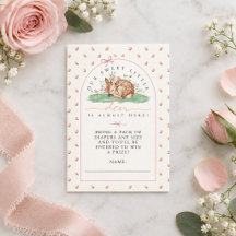 Sweet Little Deer Baby Shower Diaper Raffle