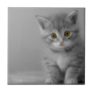 Sweet Little Kitten Ceramic Tile