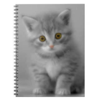 Sweet Little Kitten Notebook