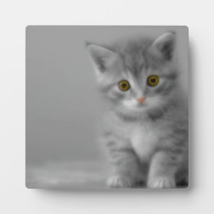 Sweet Little Kitten Plaque