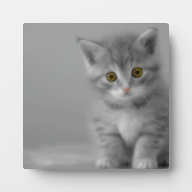 Sweet Little Kitten Plaque (Front)