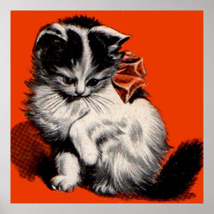 sweet little kitten poster