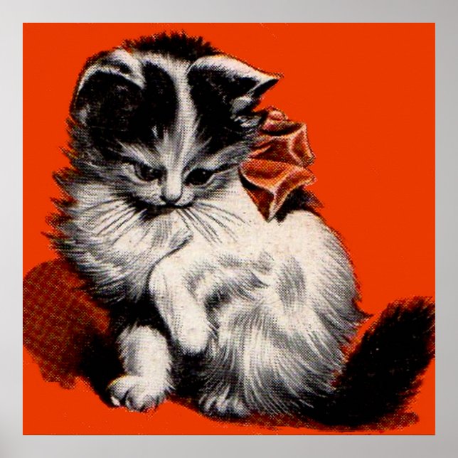 sweet little kitten poster (Front)