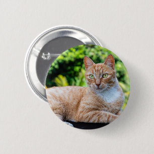 Sweet little kitty 6 cm round badge