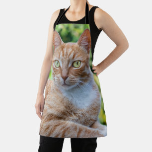 Sweet little kitty apron