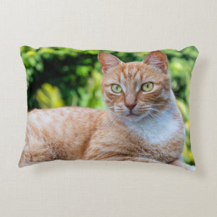 Sweet little kitty decorative cushion