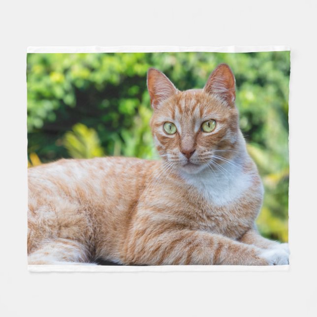 Sweet little kitty fleece blanket (Front (Horizontal))