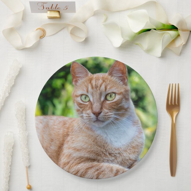 Sweet little kitty paper plate (Wedding)
