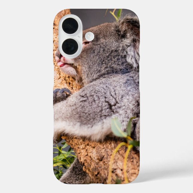 Sweet little koala Case-Mate iPhone case (Back)