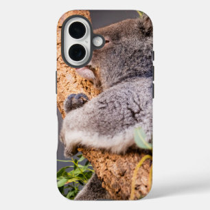 Sweet little koala iPhone 16 case