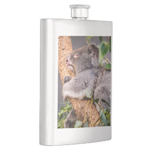 Sweet little koala hip flask