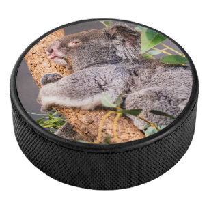 Sweet little koala hockey puck