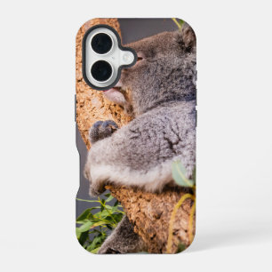 Sweet little koala iPhone 16 case