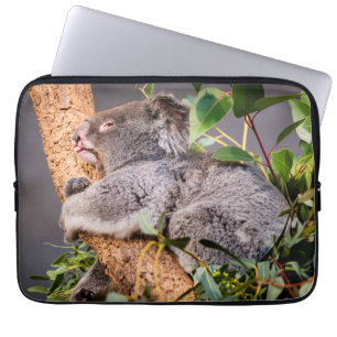 Sweet little koala laptop sleeve