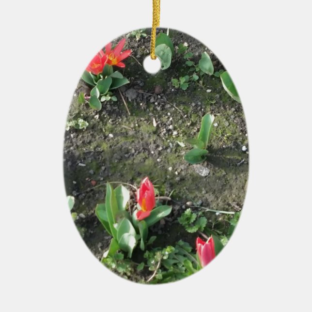 sweet little red spring flowers in the park ceramic tree decoration (Front)